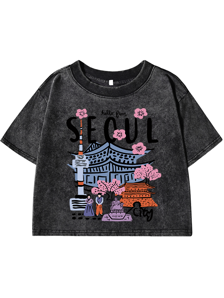 Seoul Beautiful Scenery Printi – Street Fashion Of Seoul Bewertung und Preis